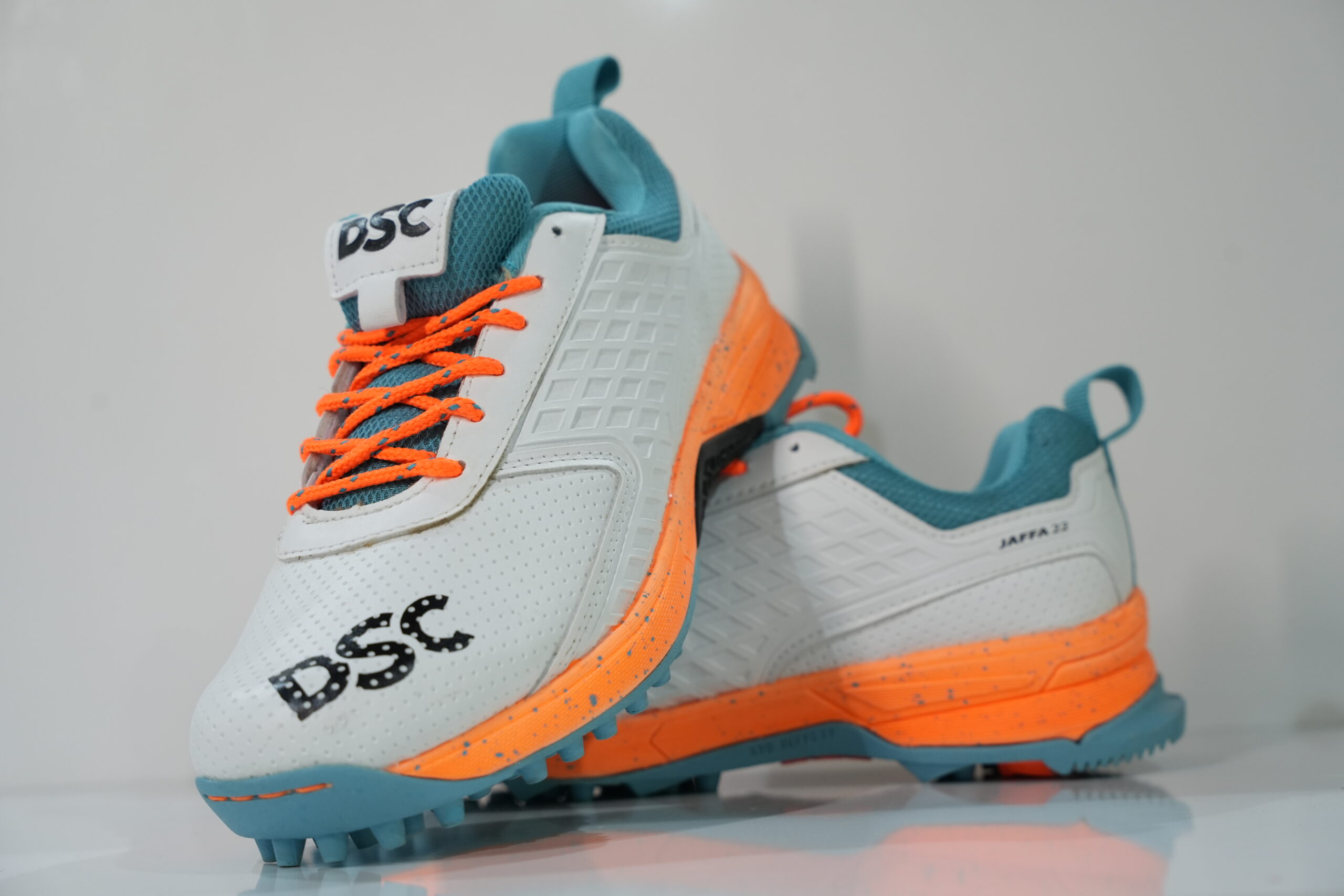 DSC Cricket shoe