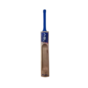 cricket bat